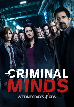  ʮ Criminal Minds Season 13