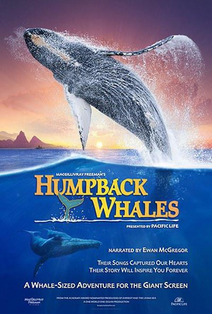 ^L Humpback Whales