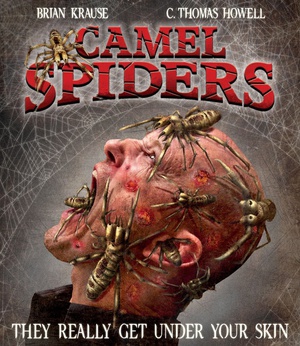 ֩ Camel Spiders