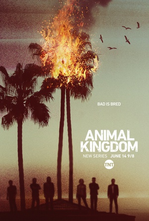 ҰF һ Animal Kingdom Season 1