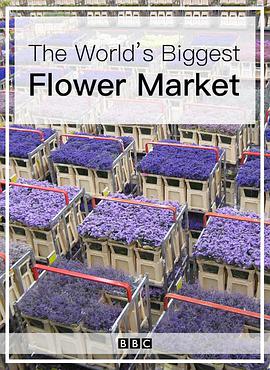 rЈ The World's Biggest Flower Market
