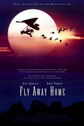w Fly Away Home