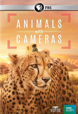 zӰ Animals with Cameras
