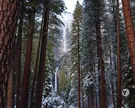 PBS Ȼs׵هҹ@ Nature: Yosemite