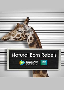 @đZ Natural Born Rebels