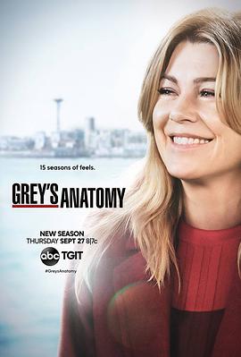 t ʮ弾 Grey's Anatomy Season 15