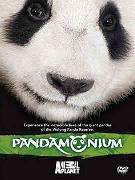 ؈ӆT Pandamonium