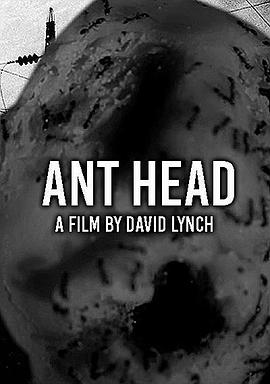 Nρ^ Ant Head