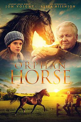 R Orphan Horse